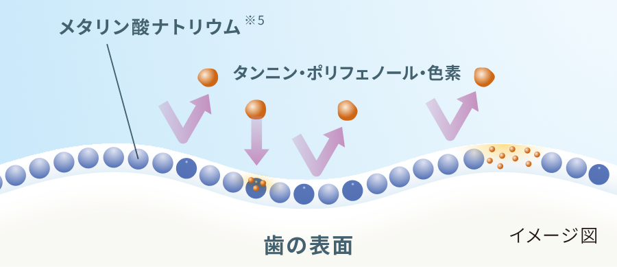 メタリン酸ナトリウムがステインの付着をブロックする仕組みのイメージ図