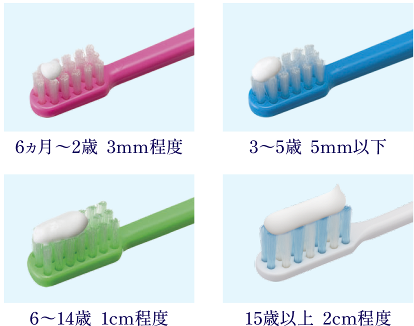 6ヵ月潤ｵ2歳 3mm程度 3潤ｵ5歳 5mm以下 6潤ｵ14歳 1cm程度 15歳以上 2cm程度