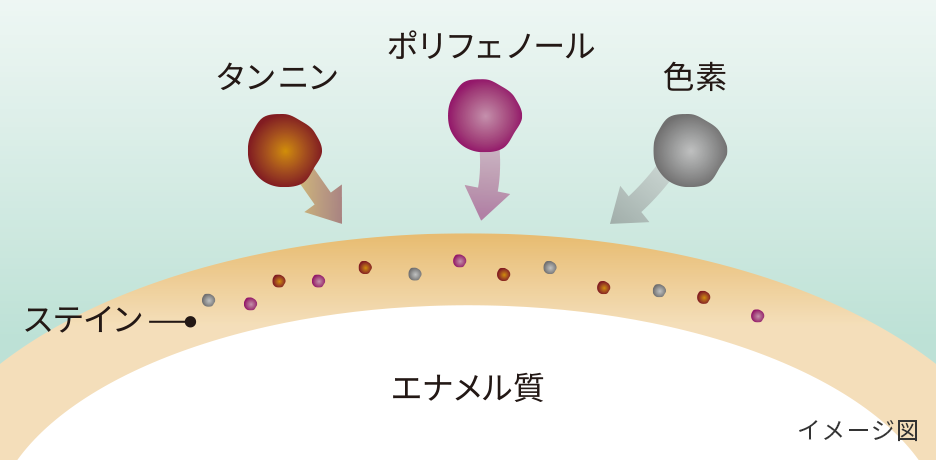 ステインとは?イメージ図