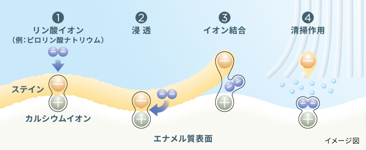 ステインを浮かせて落とす仕組みの図解