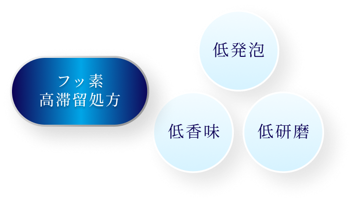 フッ素高滞留処方 低発泡・低香味・低研磨