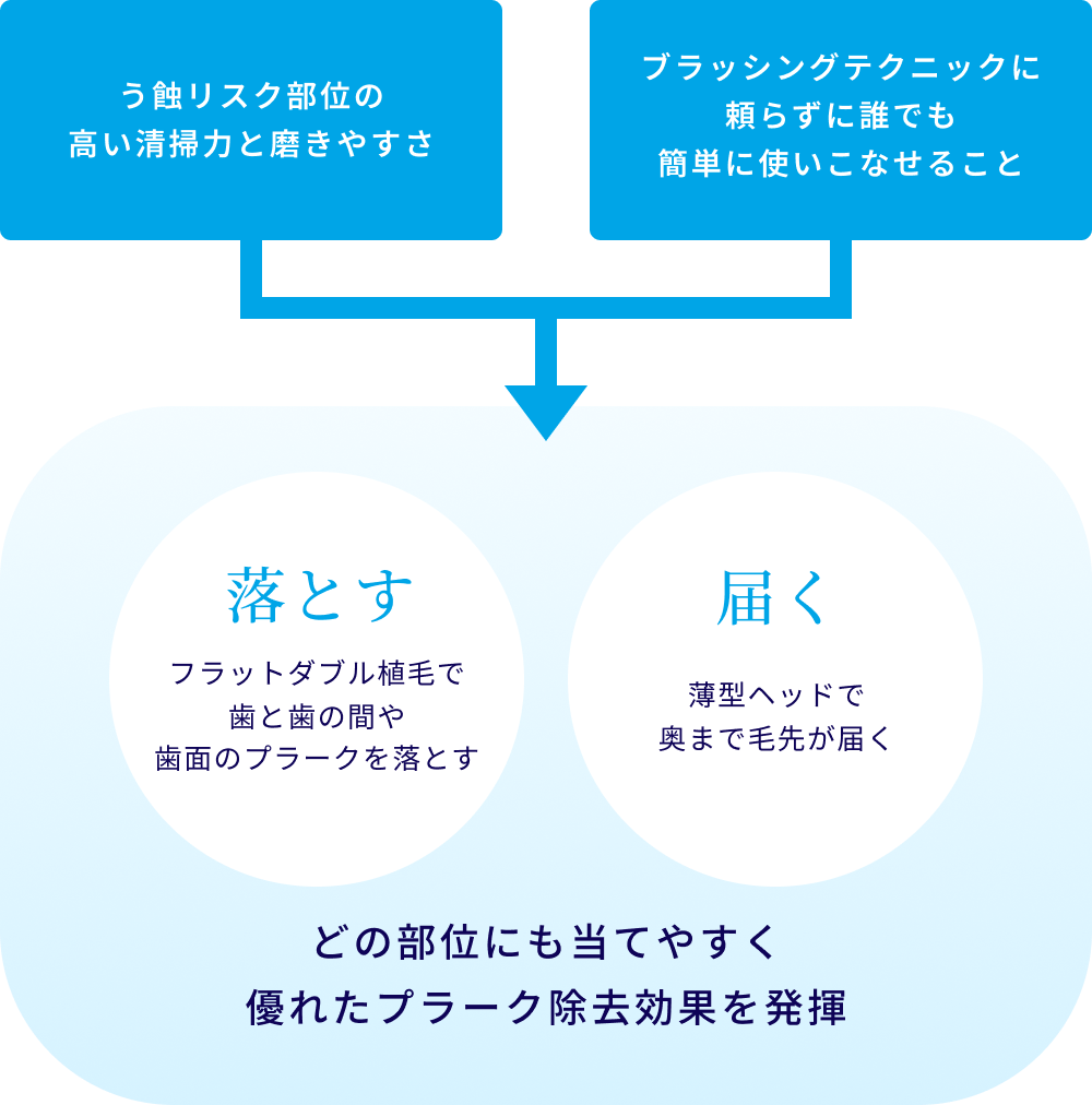 う蝕リスク部位の高い清掃力と磨きやすさ・ブラッシングテクニックに頼らずに誰でも簡単に使いこなせることが「落とす」と「届く」に繋がり、どの部位にも当てやすく
							優れたプラーク除去効果を発揮。「落とす」とはフラットダブル植毛で歯と歯の間や歯面のプラークを落とすこと。「届く」とは薄型ヘッドで奥まで毛先が届くこと。