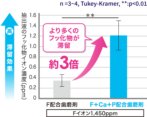フッ化物滞留効果の比較グラフ