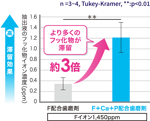 フッ化物滞留効果の比較グラフ