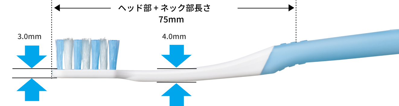 薄型ヘッドとスリムネックの高い到達性イメージ