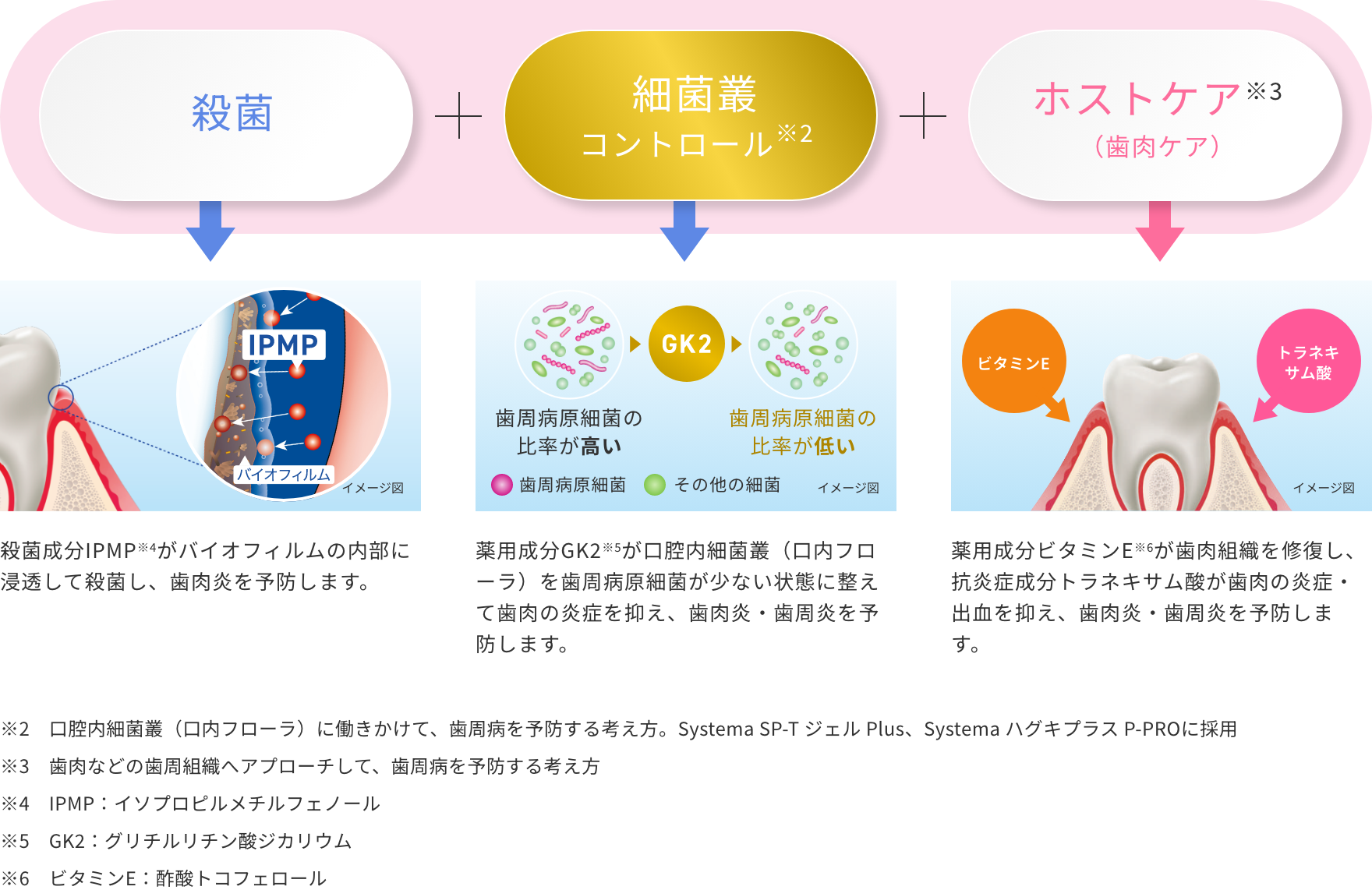 歯周病予防の考え方 図