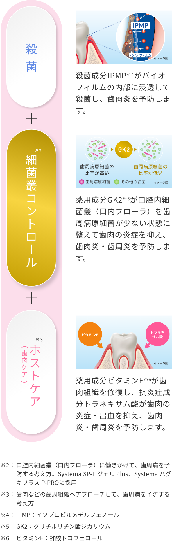 歯周病予防の考え方 図