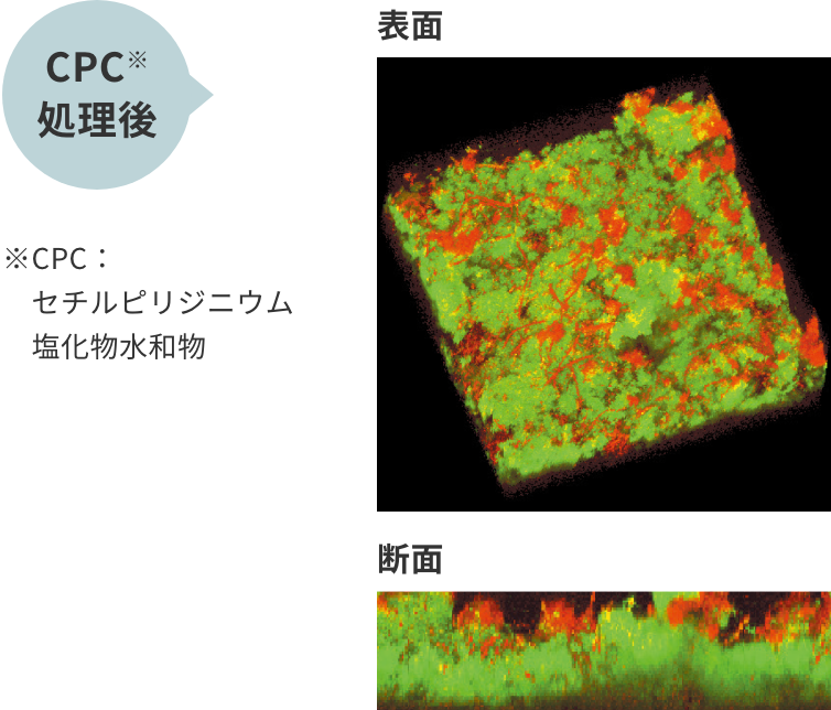 CPC※処理後※CPC：セチルピリジニウム塩化物水和物