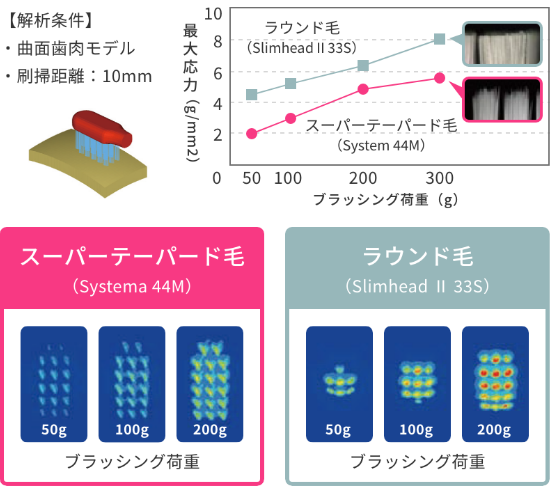 有限要素法による歯ブラシ挙動解析 図