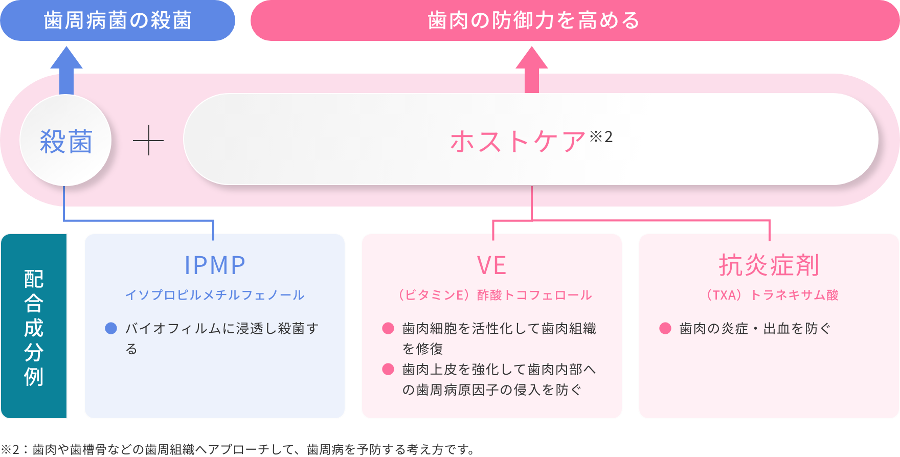 歯周病予防の考え方 図