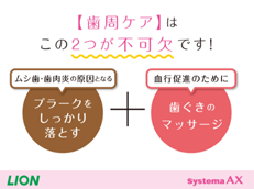 Systema AX_イメージ2