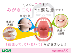 Systema AX_イメージ3