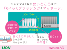 Systema AX_イメージ4