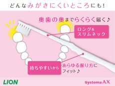 Systema AX_イメージ5
