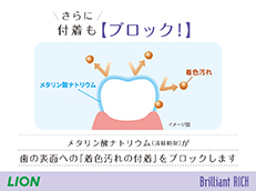 Brilliant RICH_イメージ4