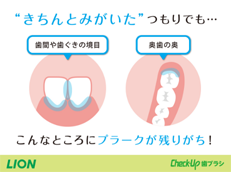 Check-Up 歯ブラシ_イメージ2