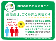 Systema Dentalpaste α_イメージ8