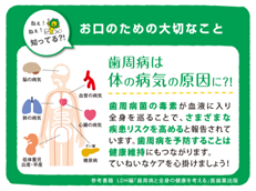 DENT.EX systema genki_イメージ8
