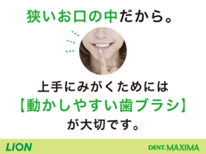 DENT.MAXIMA_イメージ2