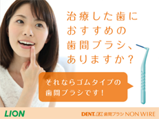 DENT.EX 歯間ブラシ NON WIRE_イメージ1