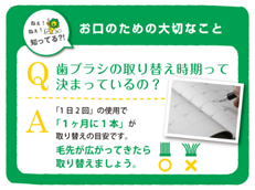 DENT.EX onetuft_イメージ7