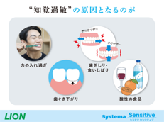 Systema センシティブ_イメージ3