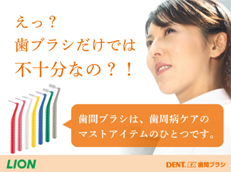 DENT.EX 歯間ブラシ_イメージ1