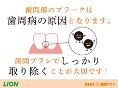 DENT.EX 歯間ブラシ_イメージ2