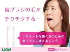 Systema SP-T歯ブラシ_イメージ1