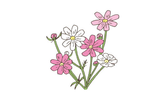 秋のイラスト_イメージ11