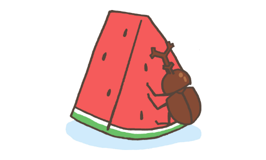 夏のイラスト_イメージ1