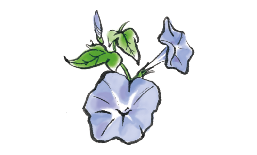 夏のイラスト_イメージ6