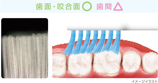 ラウンド毛の説明とイメージ図