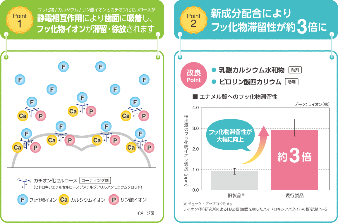 Point 1：フッ化物/カルシウム/リン酸イオンとカチオン化セルロースが静電相互作用により歯面に吸着し、フッ化物イオンが滞留・徐放されます。Point 2：新成分配合によりフッ化物滞留性が約3倍に