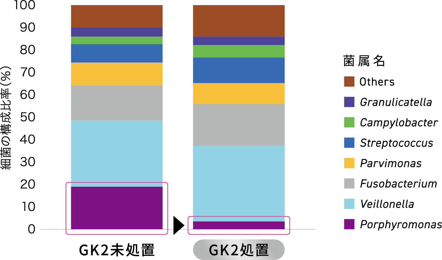 細菌叢解析結果グラフ