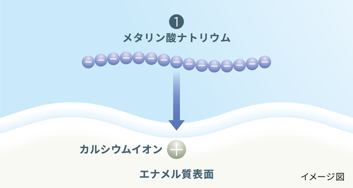 メタリン酸ナトリウムがエナメル質表面を覆う図解