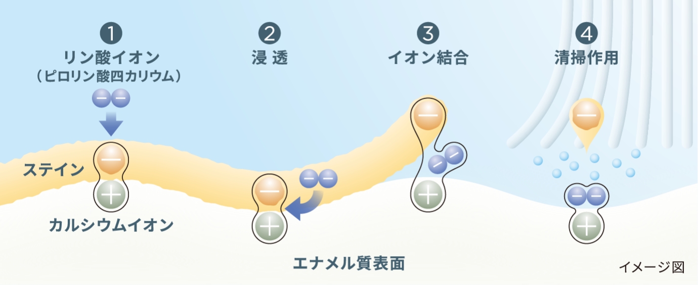 ステインを浮かせて落とす仕組みの図解