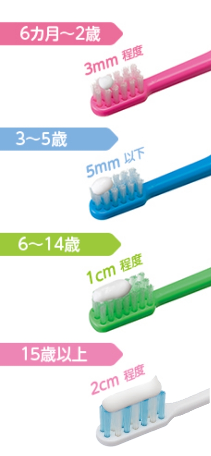 6カ月～2歳：3mm程度、3～5歳：5mm以下、6～14歳：1cm程度、15歳以上：2cm程度