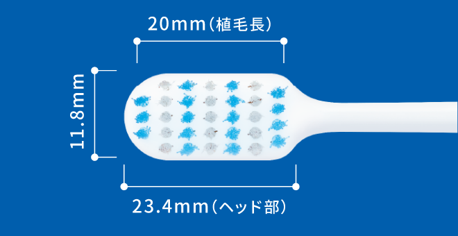 ヘッド画像。短辺の大きさは11.8mm。長辺の大きさはヘッド部が23.4mmで、植毛長が20mm。