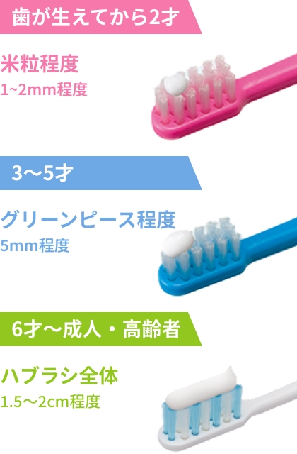 歯が生えてから2才：米粒程度・1〜2mm程度、3〜5才：グリーンピース程度・5mm程度、6才〜成人・高齢者：ハブラシ全体・1.5〜2cm程度