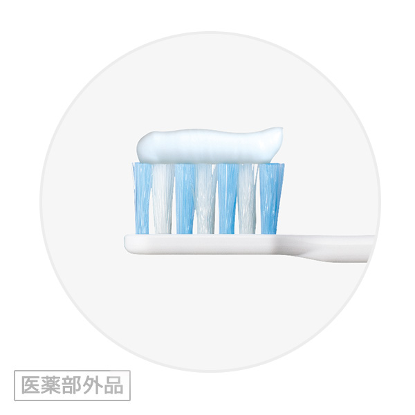 製品画像2 / チェックアップ ジュニア　医薬部外品