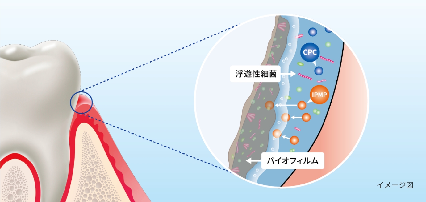 ダブル殺菌のイメージ画像