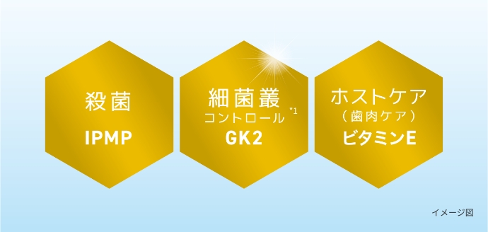 殺菌のIPMPと細菌叢コントロール※1のGK2とホストケア（歯肉ケア）のビタミンE