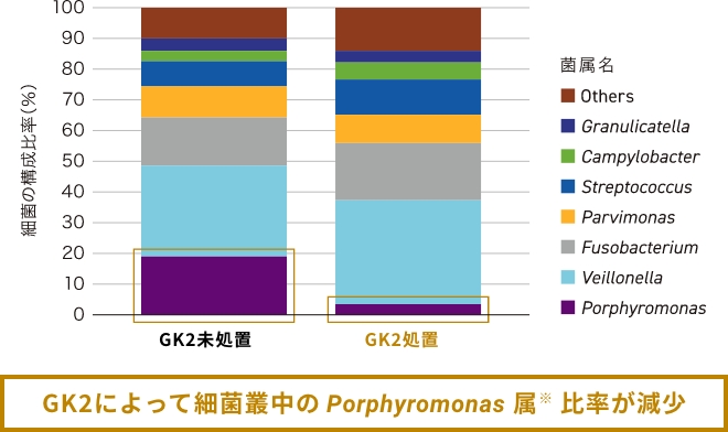GK2によって細菌叢中のPorphyromonas属※比率が減少